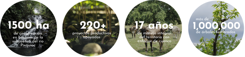 circulos